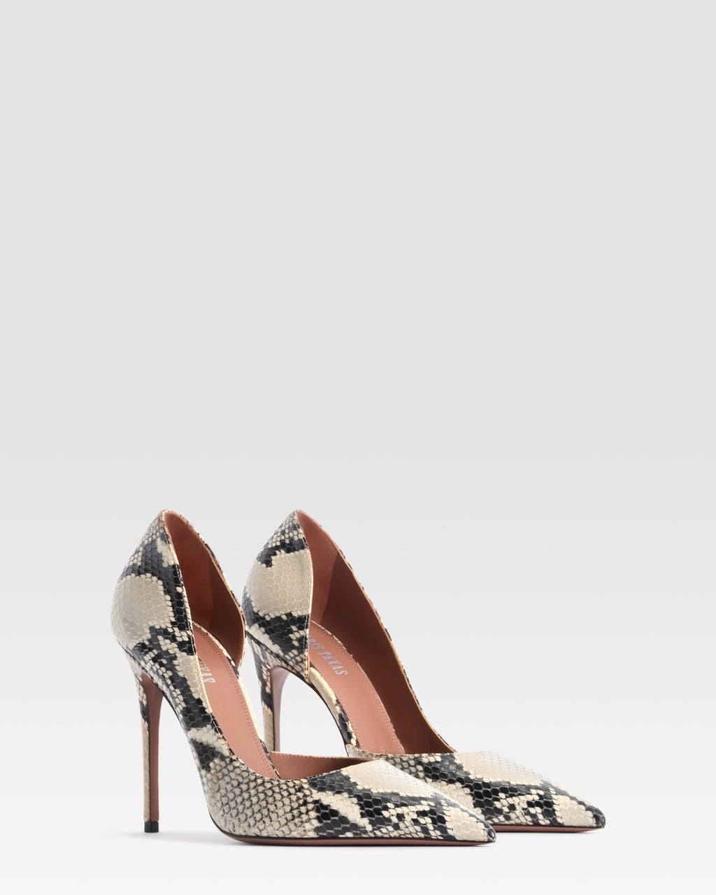 PYTHON-PRINT PUMP