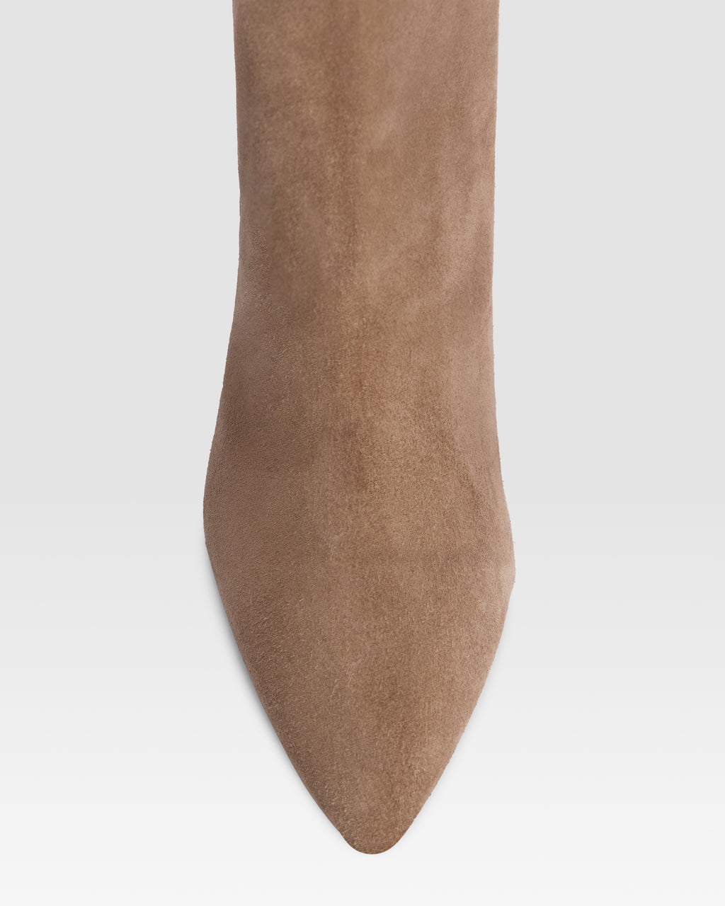 Ankle boots in taupe calf suede leather